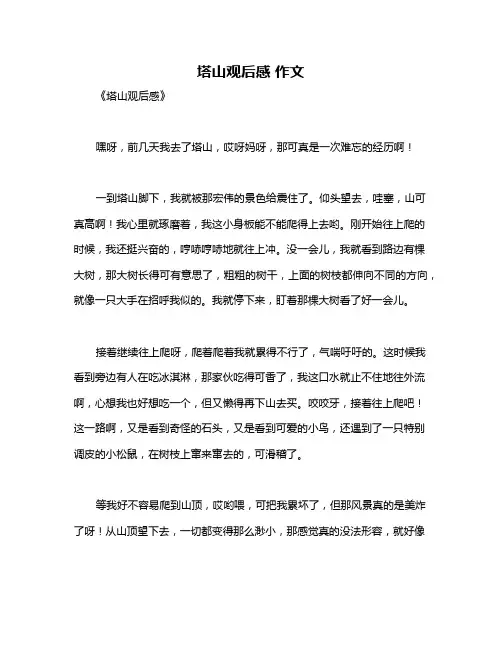 塔山观后感 作文