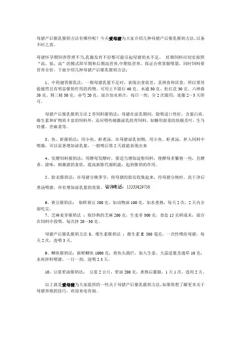 母猪产后催乳催奶方法