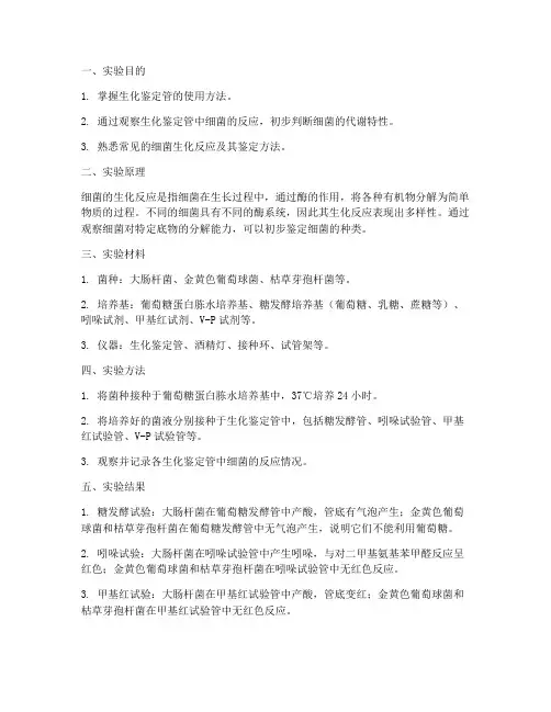 生化鉴定管实验报告