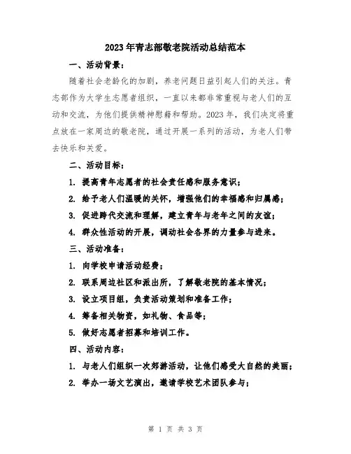 2023年青志部敬老院活动总结范本