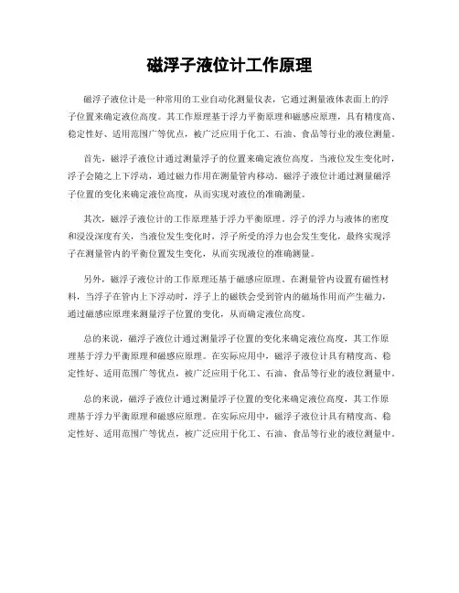 磁浮子液位计工作原理