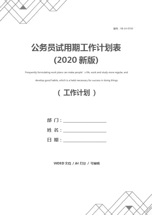 公务员试用期工作计划表(2020新版)