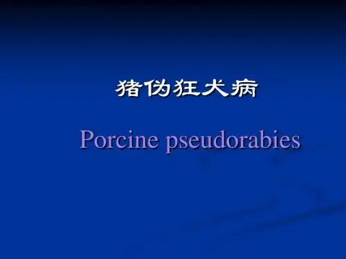 猪伪狂犬病 PPT课件