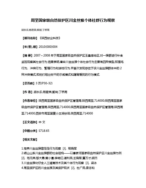 周至国家级自然保护区川金丝猴个体社群行为观察