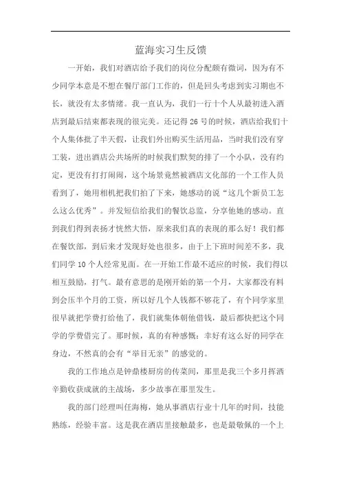 蓝海实习生反馈