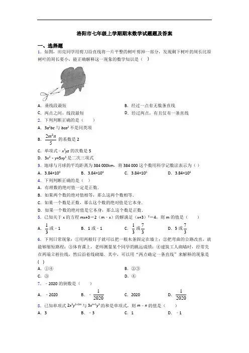 洛阳市七年级上学期期末数学试题题及答案