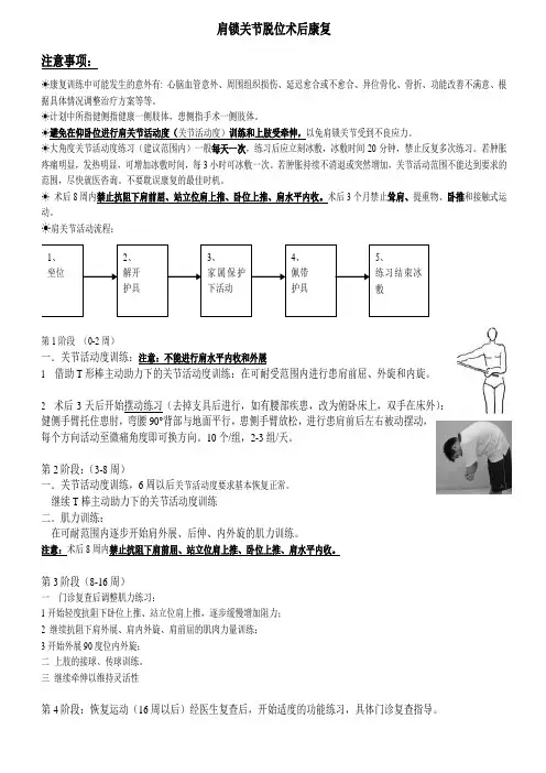 肩锁关节脱位术后康复