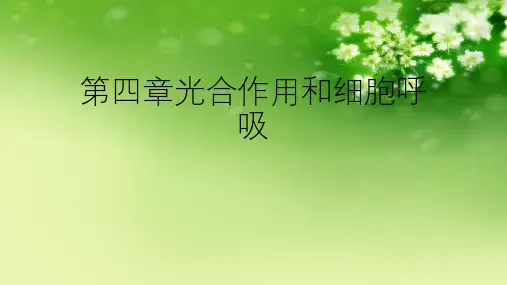 第四章光合作用和细胞呼吸优秀课件