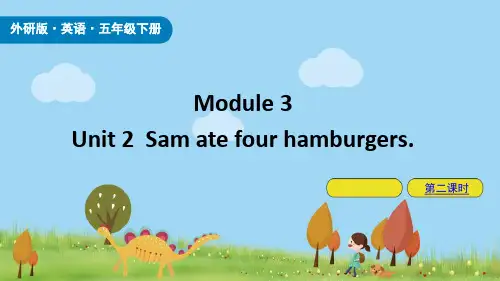 《Sam ate four hamburgers》PPT课件(第2课时)