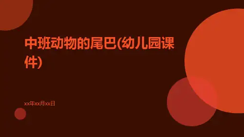 中班动物的尾巴(幼儿园课件)
