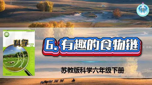 苏教版科学六年级下册-6有趣的食物链 课件(共16张PPT)