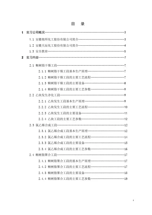 安徽中盐红四方实习报告