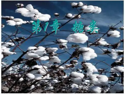 杨建雄生物化学课件糖生物化学1
