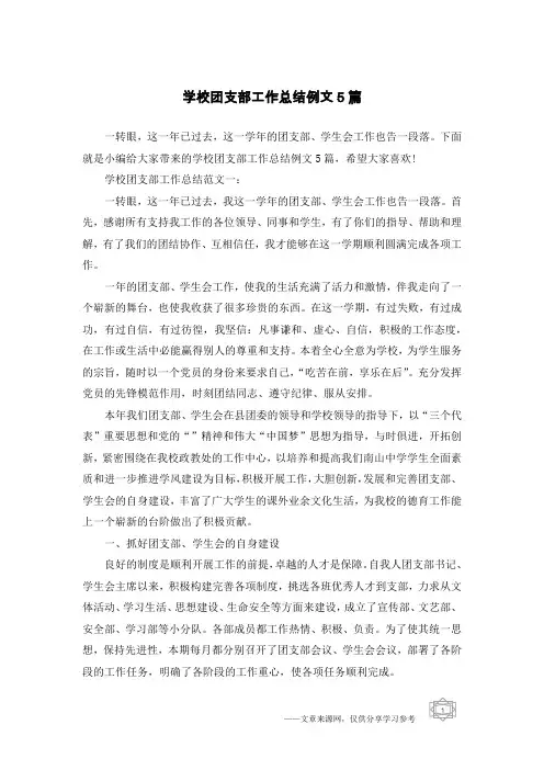 学校团支部工作总结例文5篇