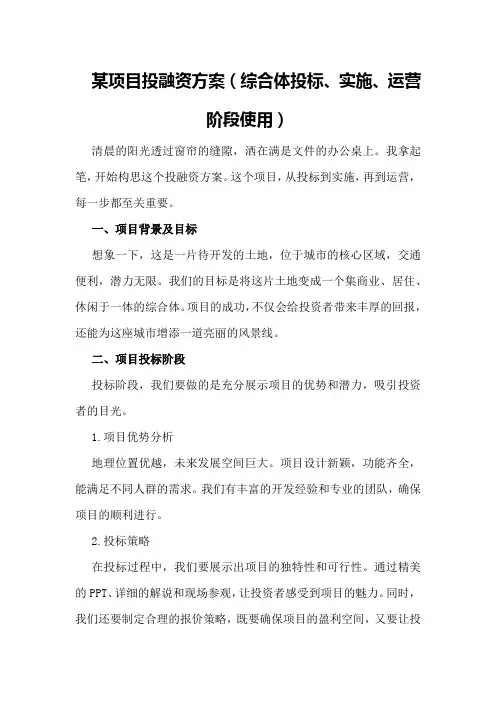 某项目投融资方案