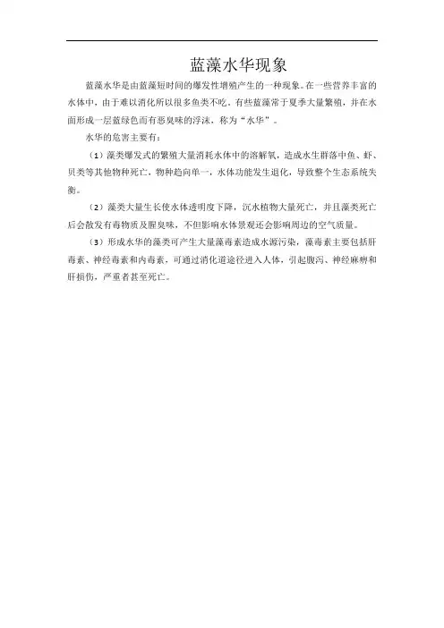 蓝藻水华现象
