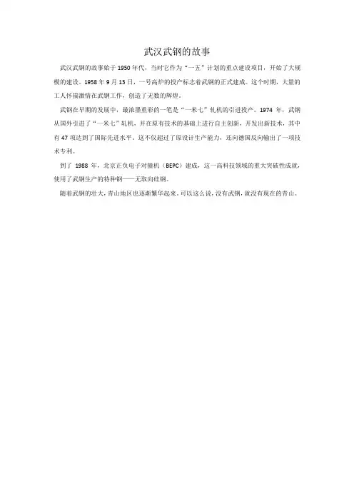 武汉武钢的故事