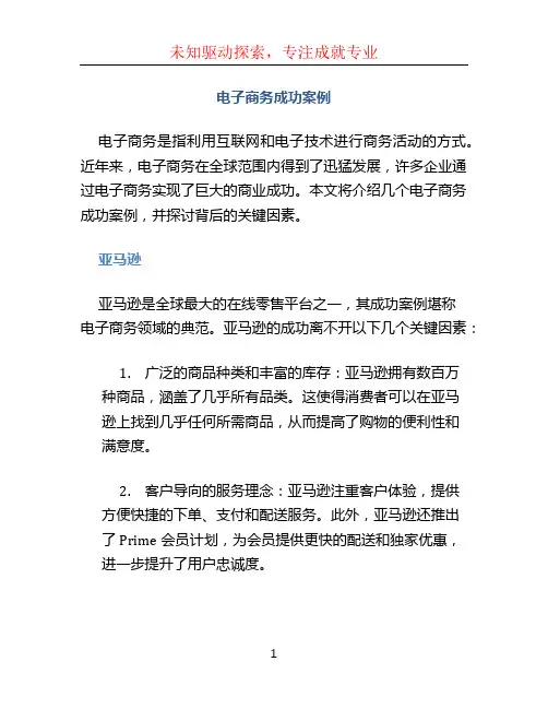 电子商务成功案例 (2)