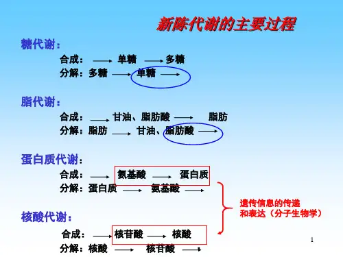 杨荣武生物化学原理南京大学糖酵解PPT课件