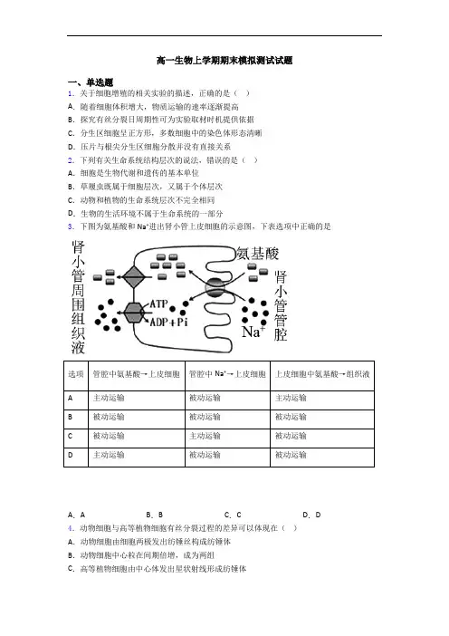 高一生物上学期期末模拟测试试题