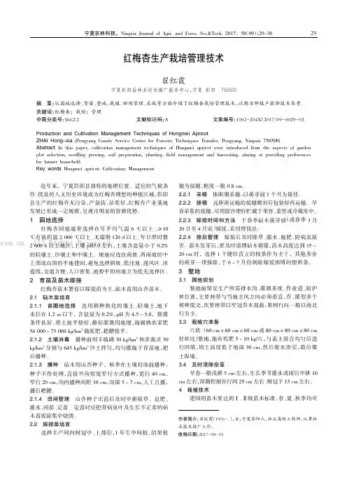 红梅杏生产栽培管理技术