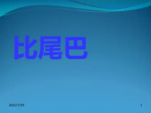 人教(部编版)一级上册语文《比尾巴》   (共32张PPT)