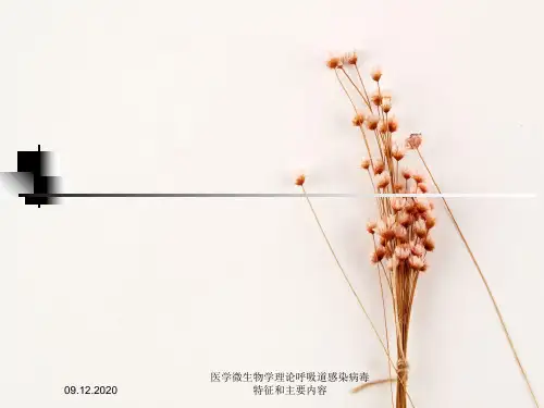 医学微生物学理论呼吸道感染病毒特征与主要内容