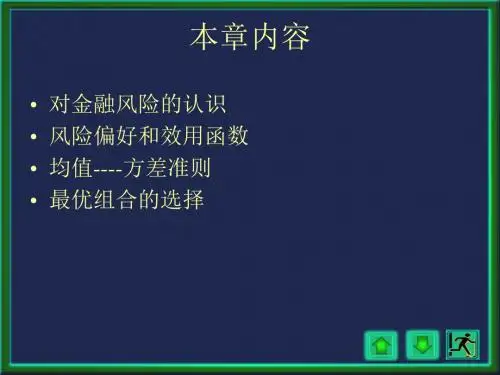 投资学-投资组合理论