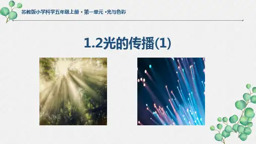 2021-2022扬州新苏教版五年级科学上册《光的传播》第1课时课件
