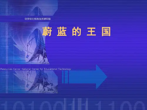 23蔚蓝的王国(苏教版)PPT课件