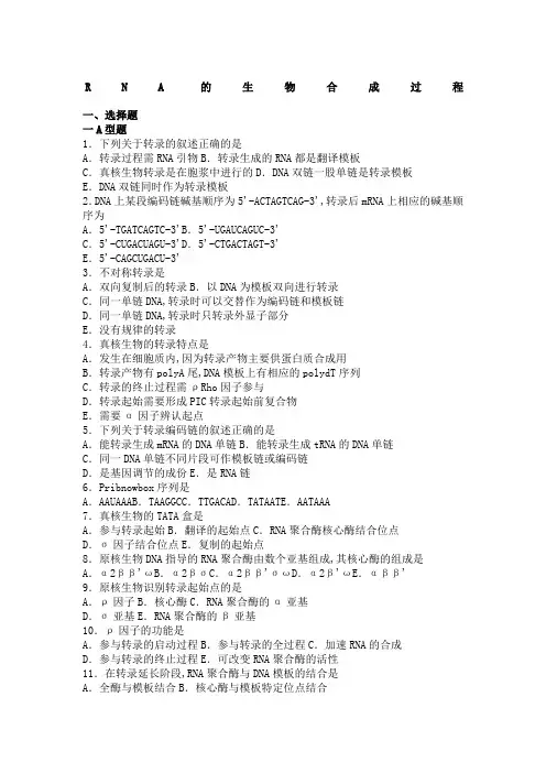 生物化学习题与解析RNA的生物合成过程