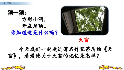 第三课《天窗》(人教部编版版四年级下册语文精品课件)