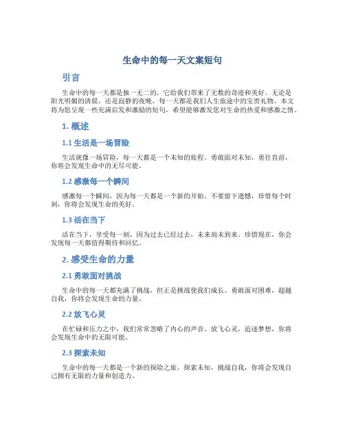 生命中的每一天文案短句