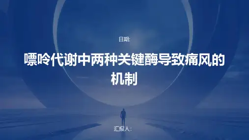 嘌呤代谢中两种关键酶导致痛风的机制
