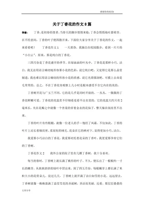 关于丁香花的作文8篇