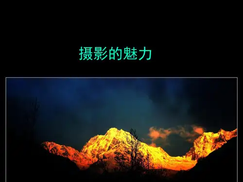 人教版高中美术选修：摄影的魅力_课件1