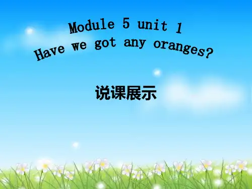 初一英语 module5说课