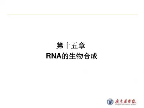 转录与基因表达调控