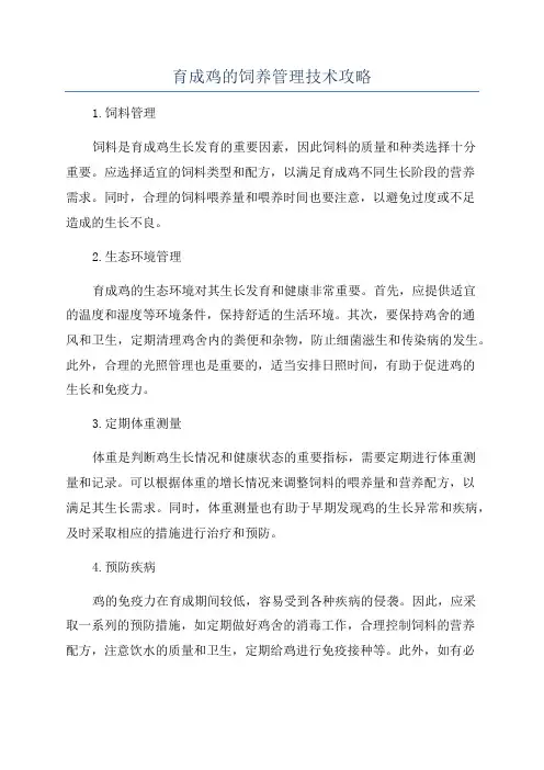 育成鸡的饲养管理技术攻略