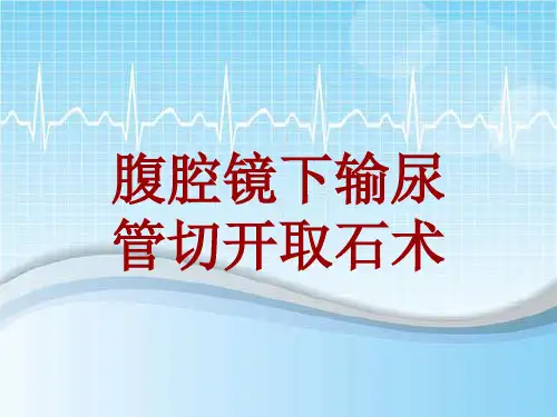 手术讲解模板：腹腔镜下输尿管切开取石术