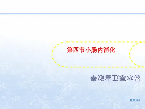 第四节小肠内消化-文档资料