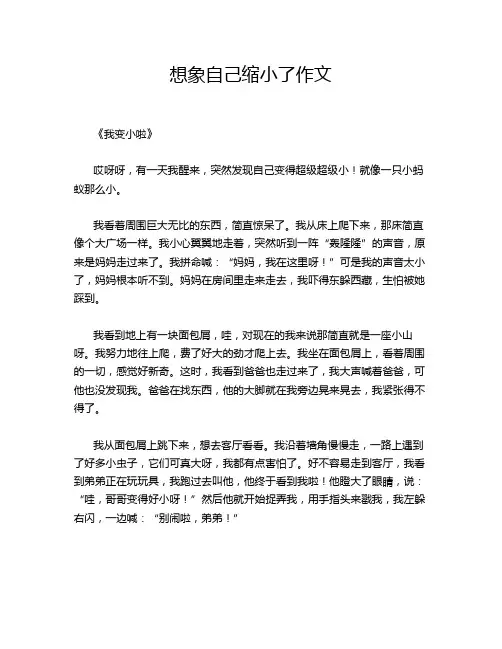 想象自己缩小了作文