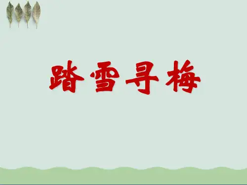 《踏雪寻梅》PPT课件5