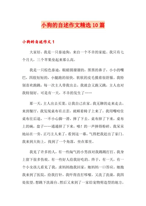 小狗的自述作文精选10篇