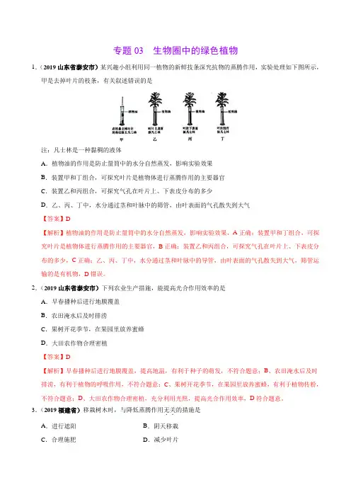 专题03 生物圈中的绿色植物(第02期)-2019年中考真题生物试题分类汇编(解析版)