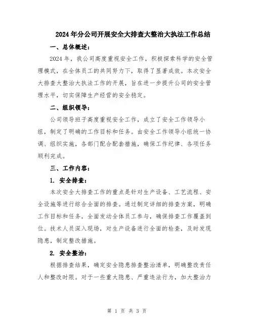 2024年分公司开展安全大排查大整治大执法工作总结