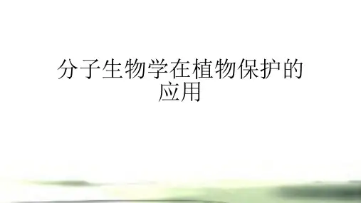 分子生物学在植物保护的应用 PPT课件