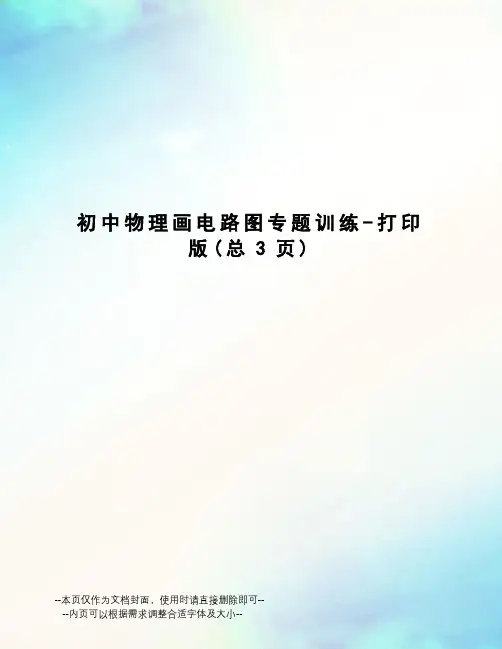 初中物理画电路图专题训练-打印版