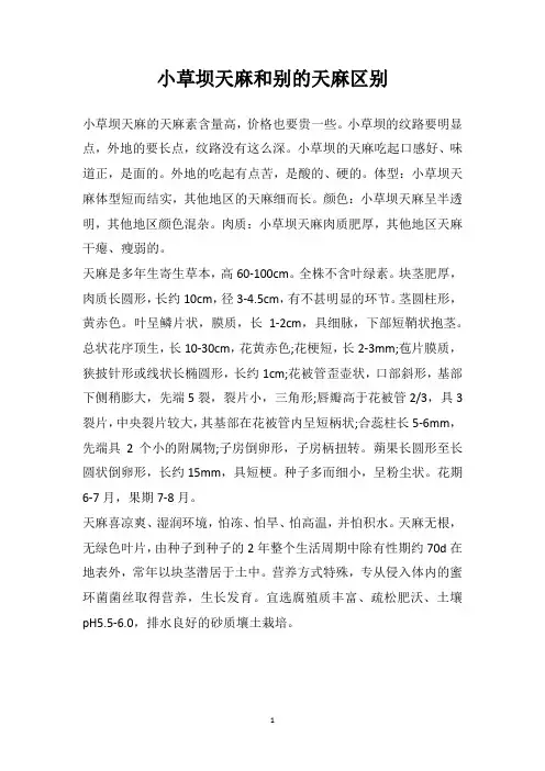 小草坝天麻和别的天麻区别