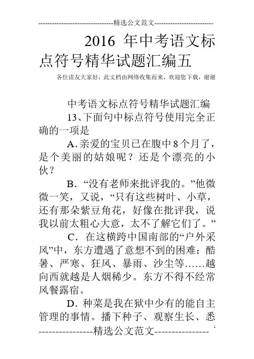 2016年中考语文标点符号精华试题汇编五